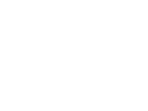 Sirloin Steak